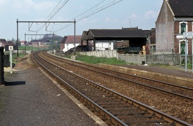 Kumtich - TH 79-1955 (1).jpg